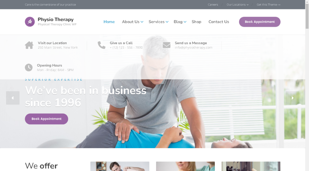 the best WordPress themes for chiropractors - physio