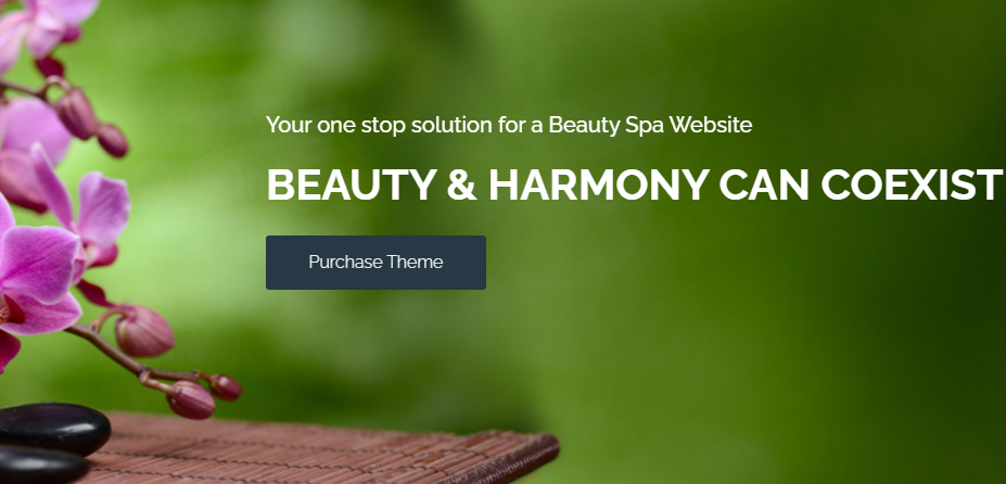 Best Beauty Parlour, Spa & Hair Salon Themes for WordPress - Spa Lab
